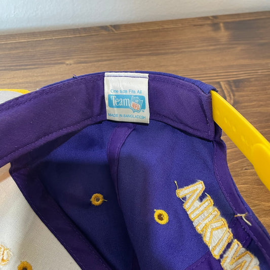Vikings NFL Team Hat