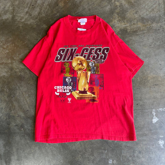 Chicago Bulls Six-Cess shirt