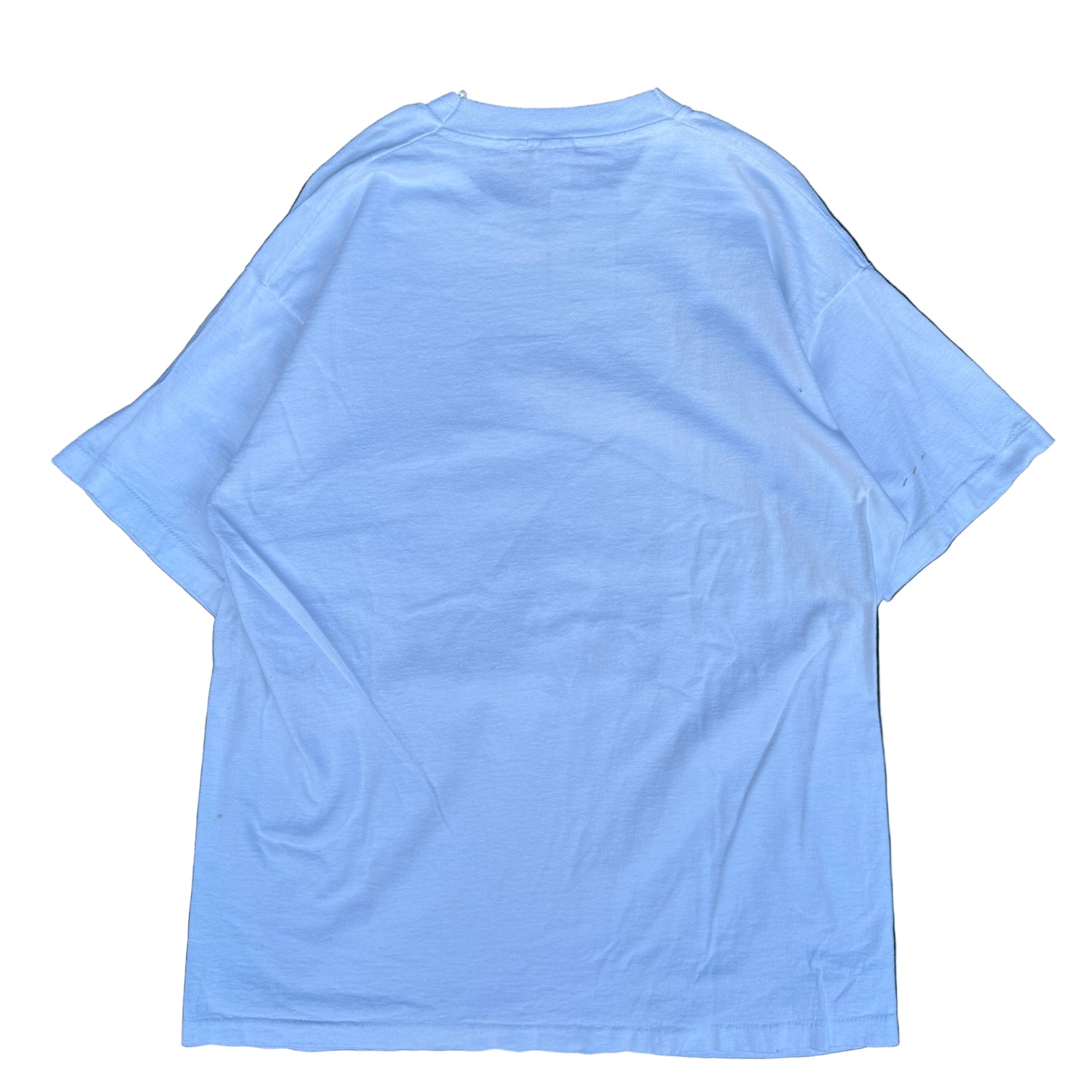 1990s Monet Art Graphic Tee (XL)