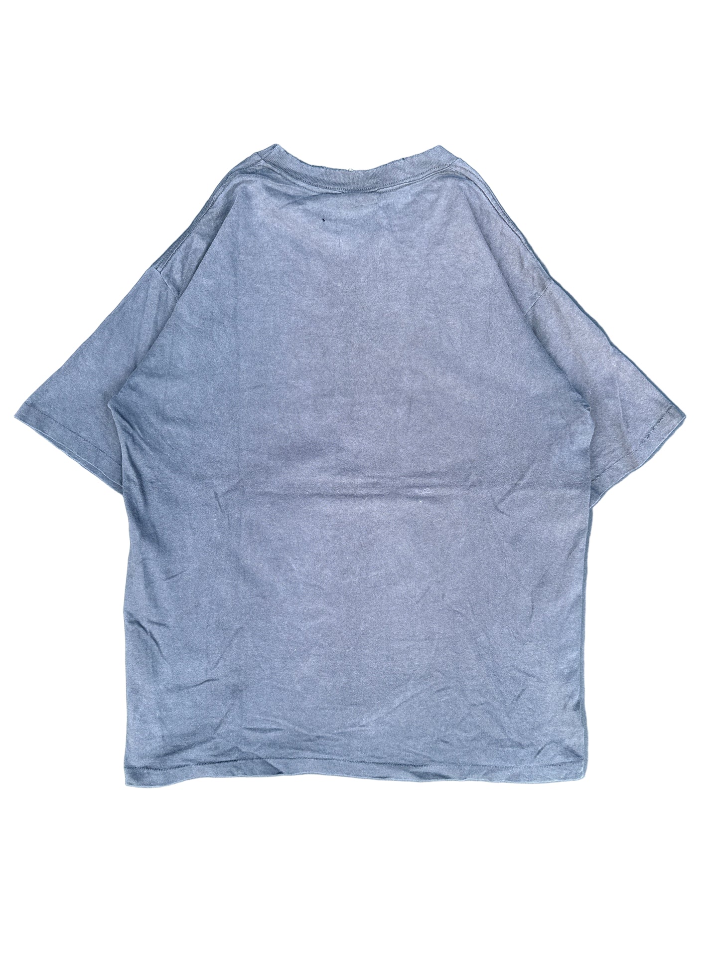 1993 Los Angeles Kings NHL Champions Graphic Tee (L)