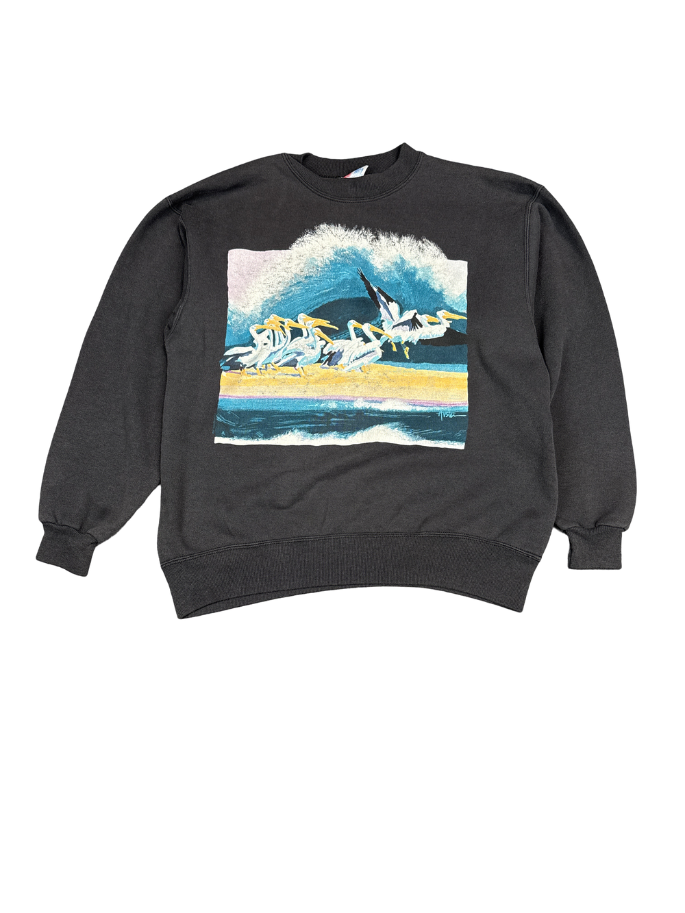 1990s Nature Pelican Graphic Sweatshirt (XL)