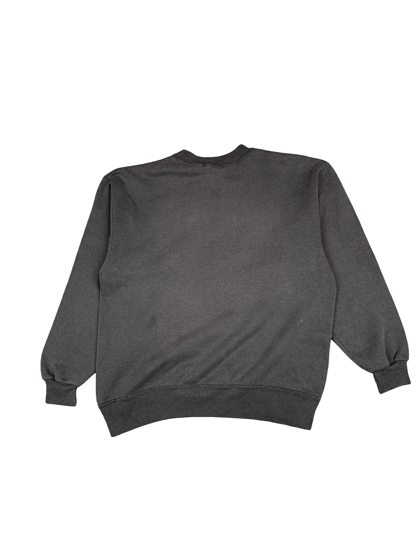 1990s Nature Pelican Graphic Sweatshirt (XL)