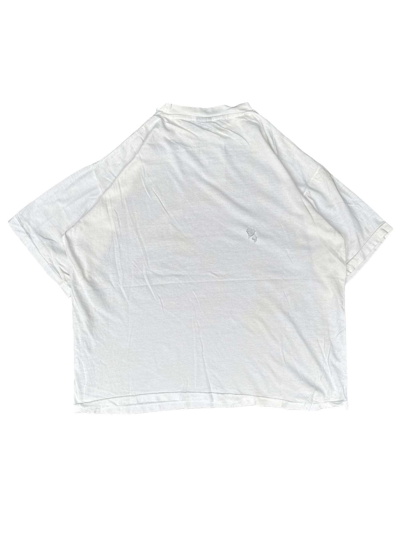 1998 Denver Broncos Super Bowl Champions Graphic Tee (XL)