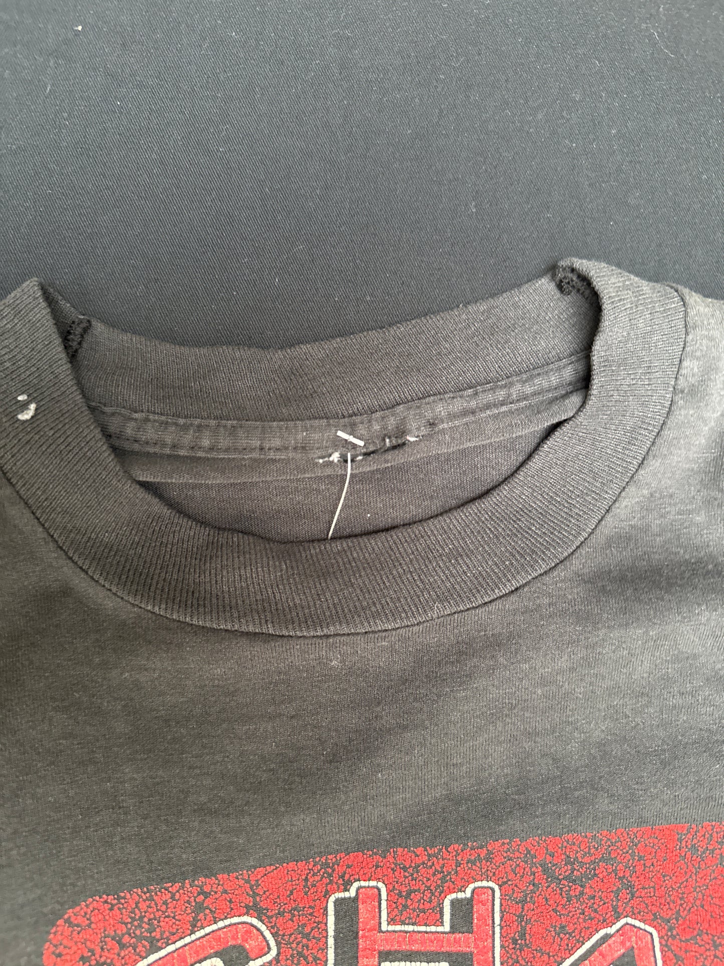 1992 Detroit Red Wings Norris Division Champs Graphic Tee (M)