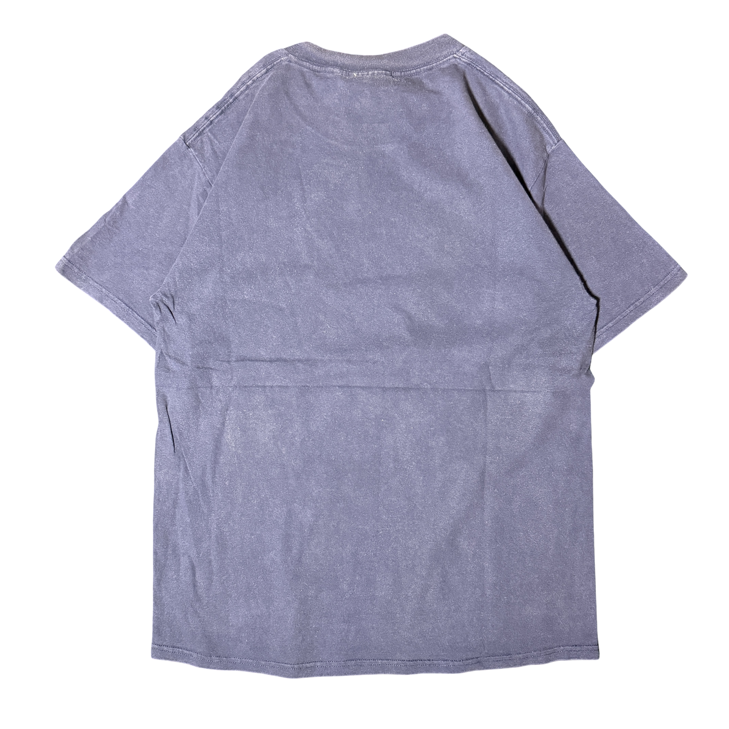 1990s Lee Sport Michigan Wolverines Graphic Tee (M)