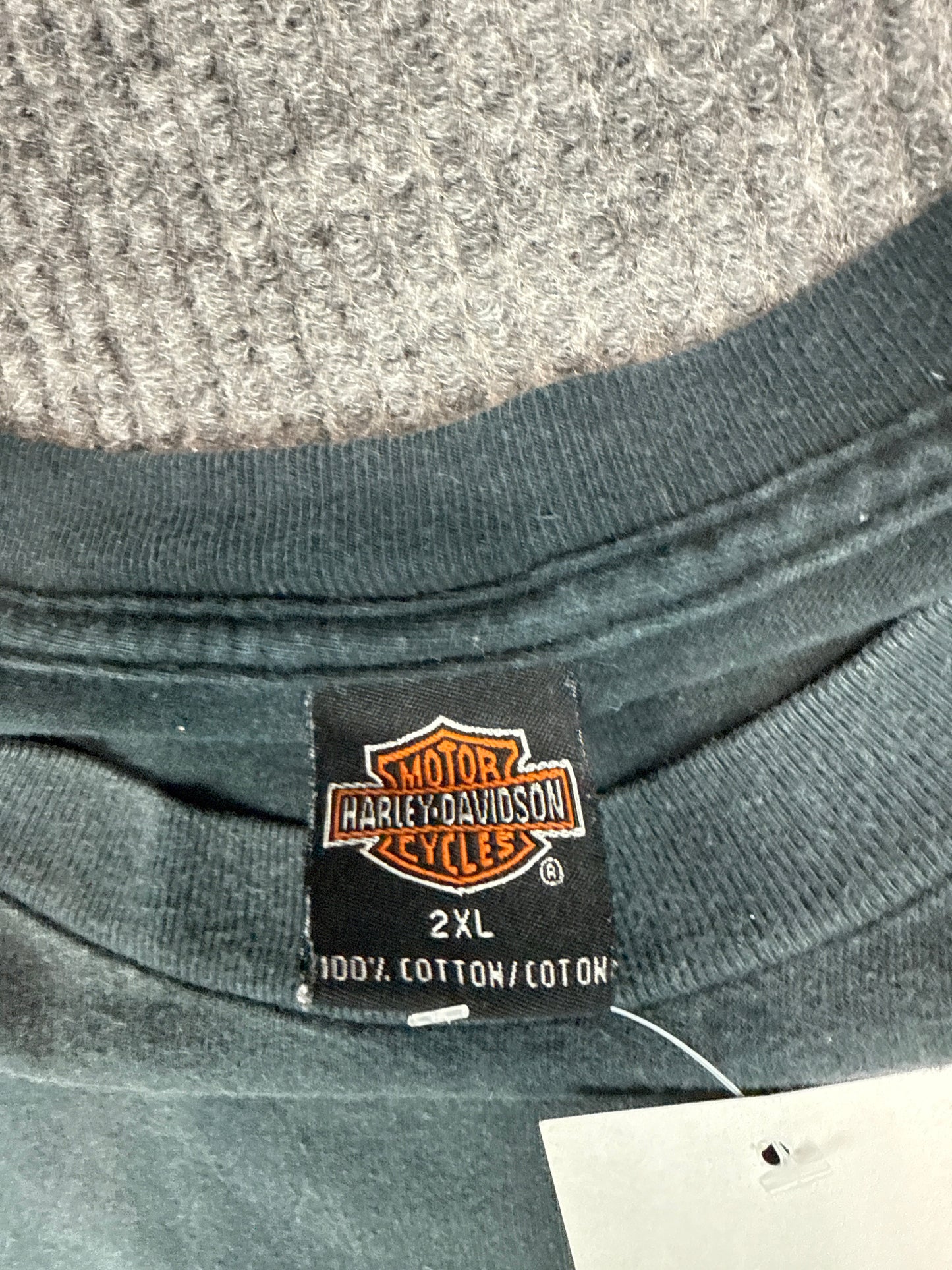 Harley-Davidson Untamed Spirit Eagle Graphic Tee (2XL)