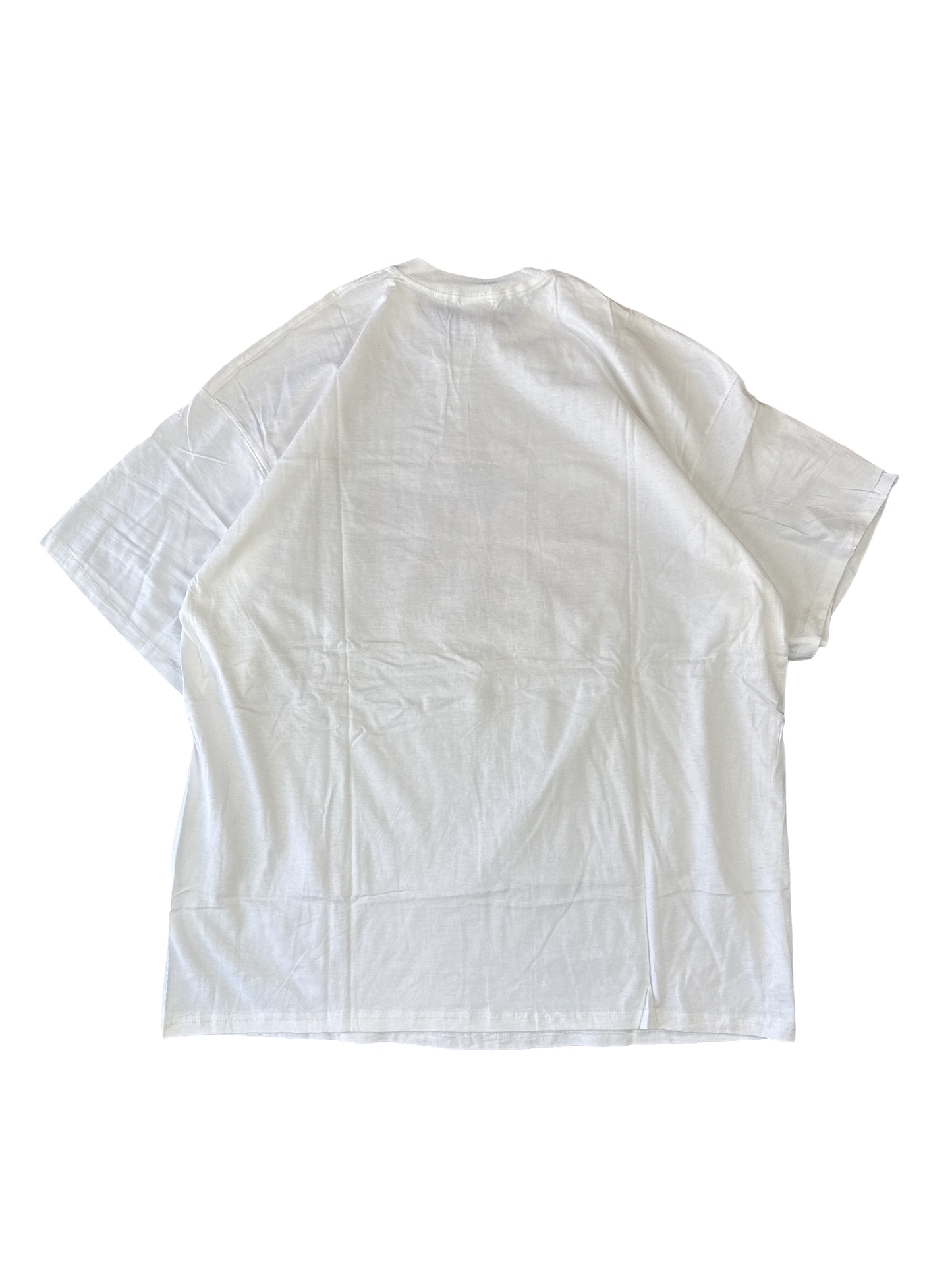 1990s Nike Barkley Phoenix Suns Graphic Tee (2XL)