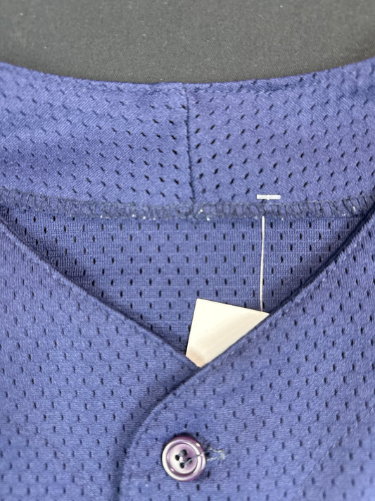 New York Yankees Mesh Baseball Jersey (L)