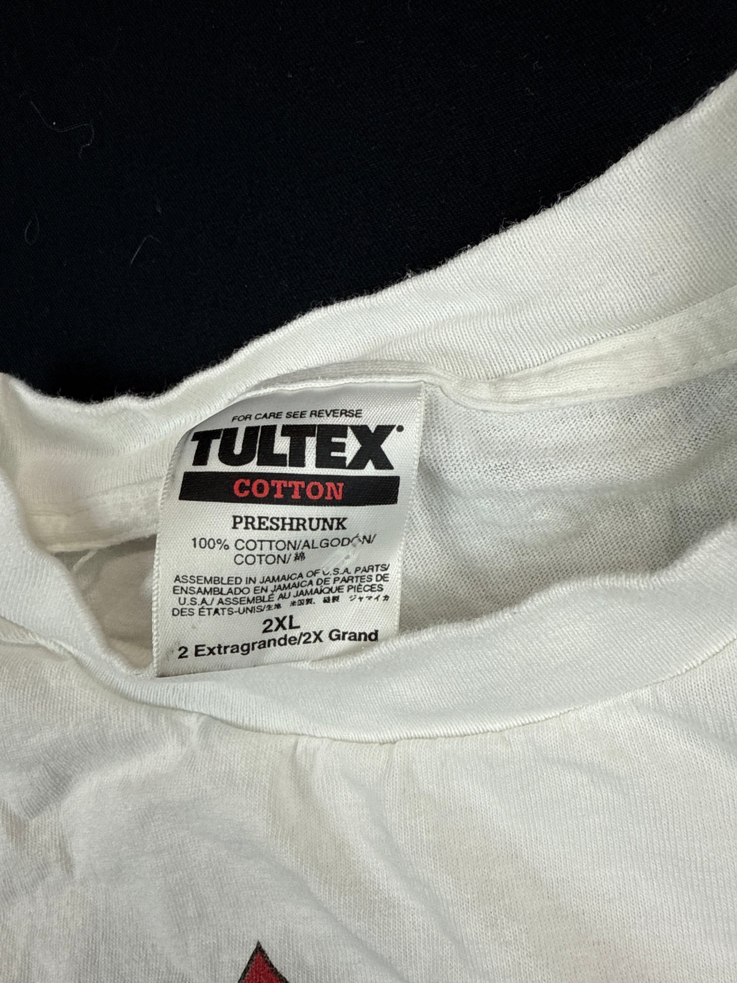 Tultex 'Viva Lord Jesus' Graphic Tee (2XL)