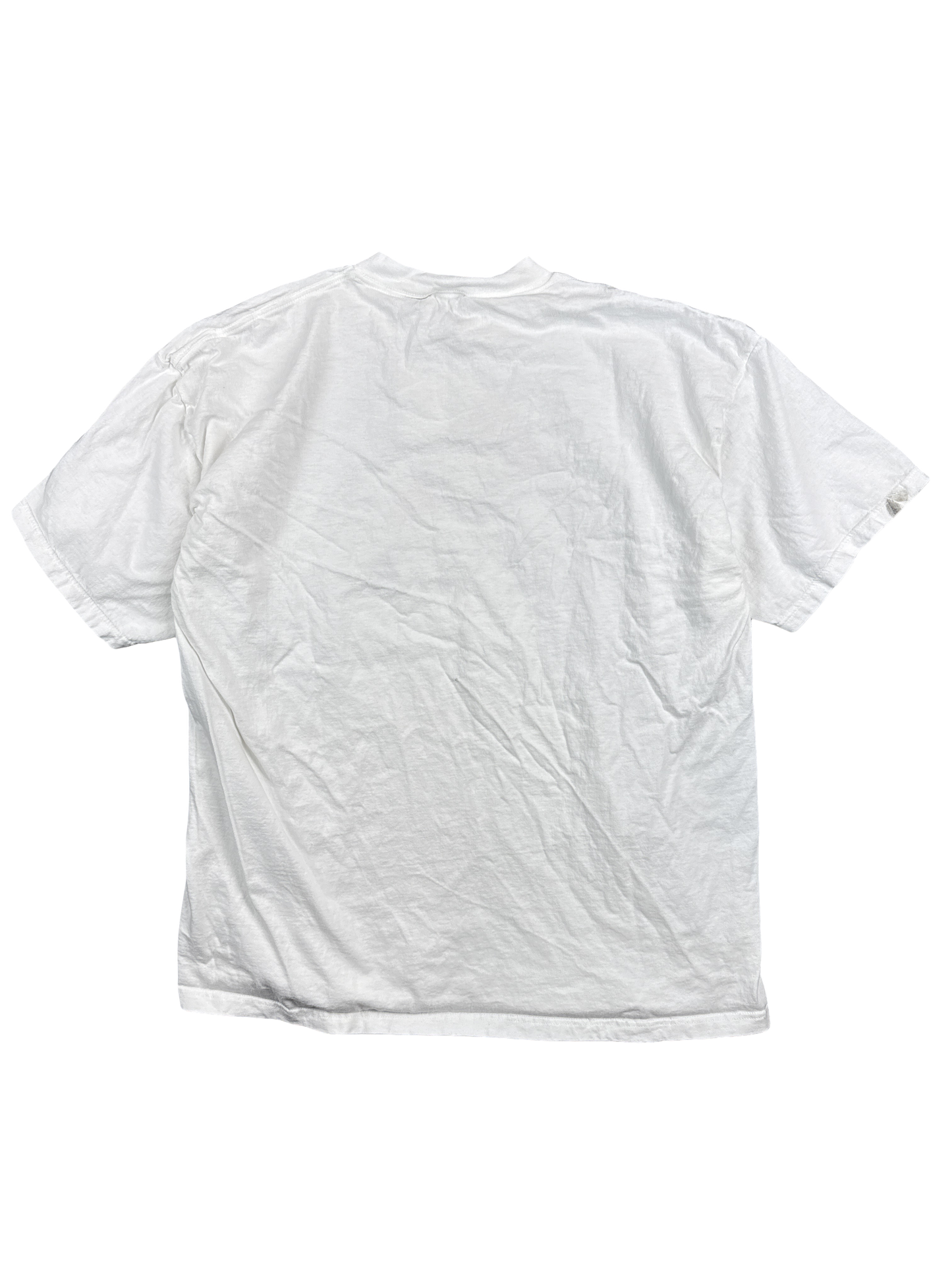 Tultex 'Viva Lord Jesus' Graphic Tee (2XL)