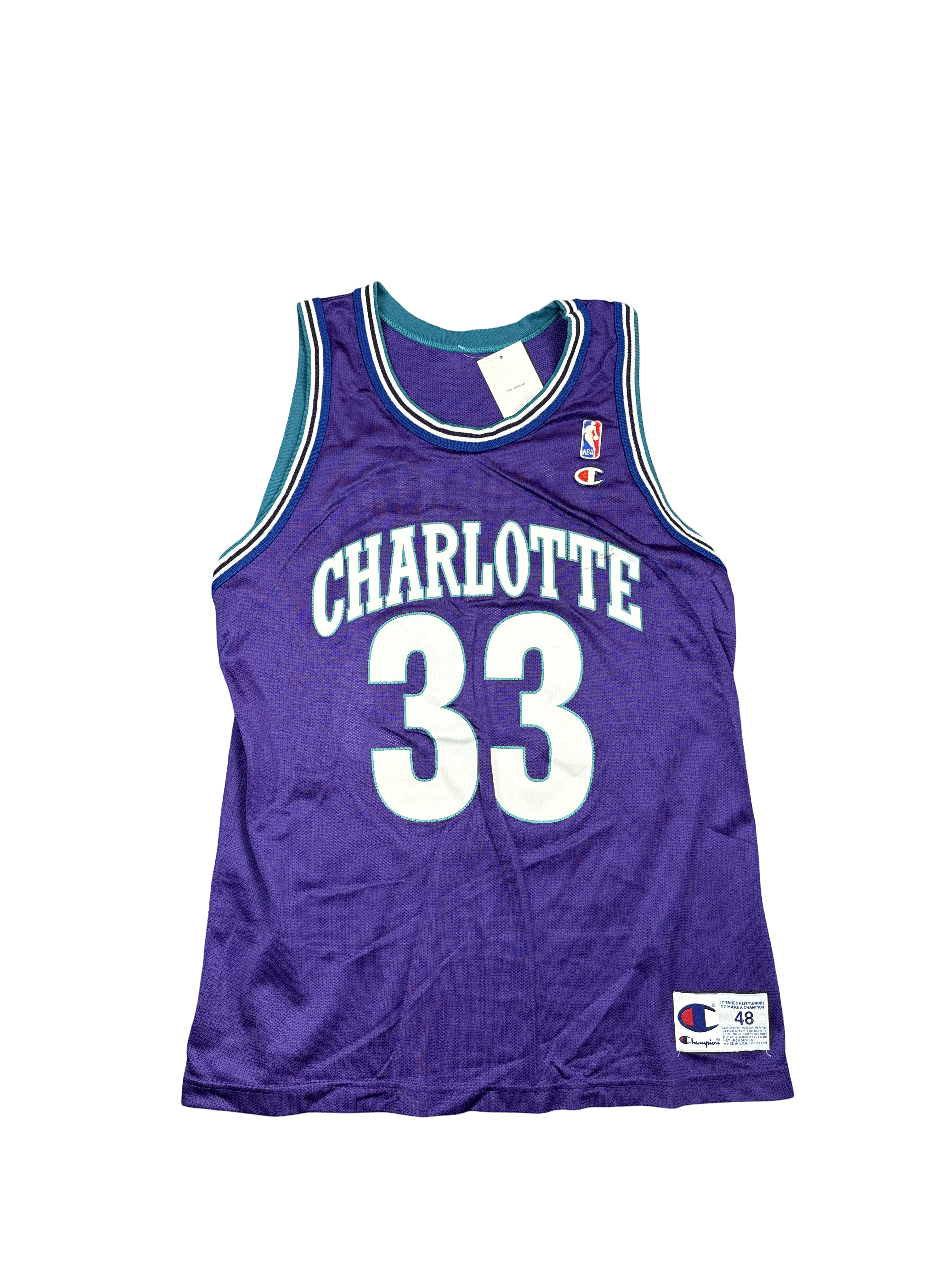 1990s Champion Charlotte 33 Basketball Jersey (XL)