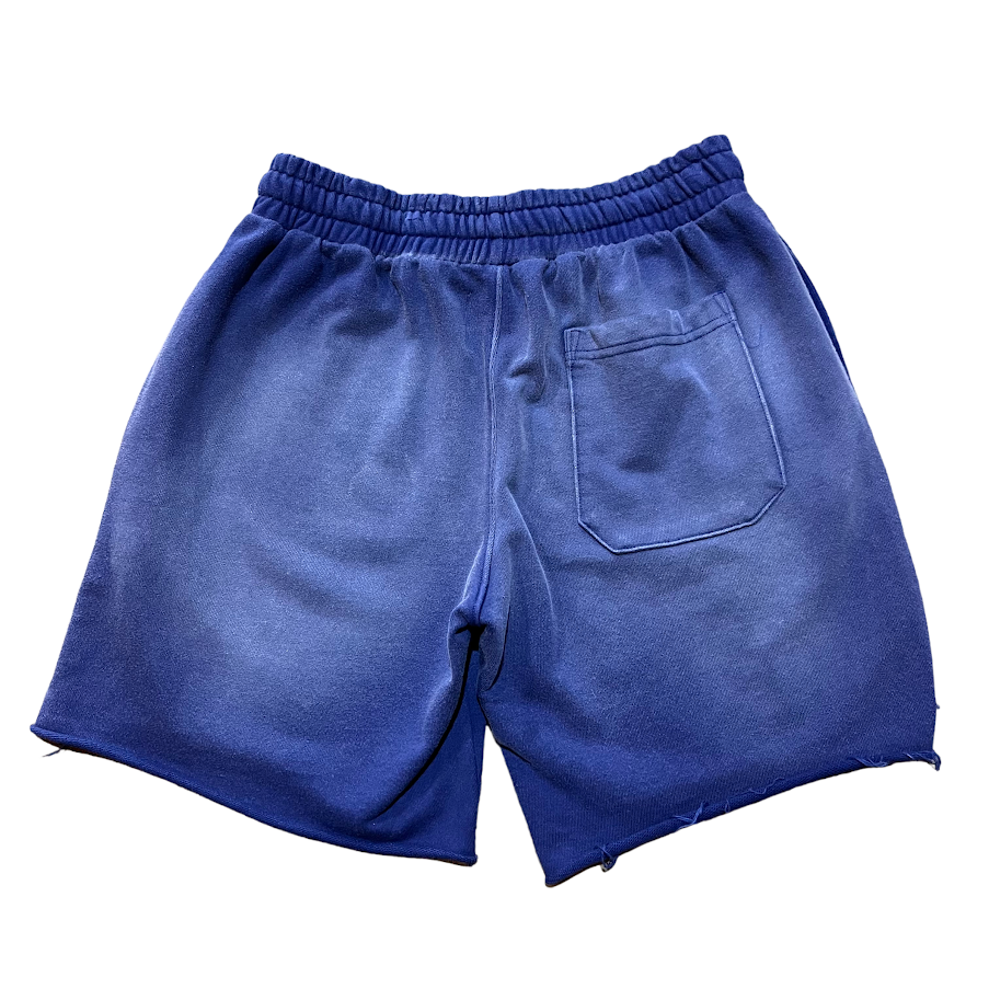 Vertebrae Blue Double Emblem Shorts