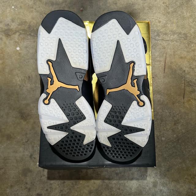 Jordan 6 DMP