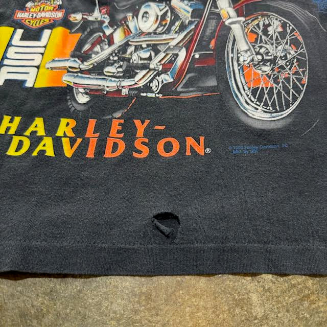 Black Harley Davidson American Flag FXSTC tee