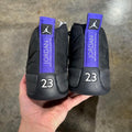 Jordan 12 Dark Concord (No Box)