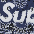 Supreme Big Logo Beanie Blue Bandana