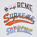 Supreme Multi Logos Hooded Sweatshirt Ash Grey