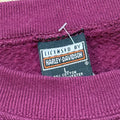 1990s Harley Davidson Eagle Sunset Sweatshirt (L)