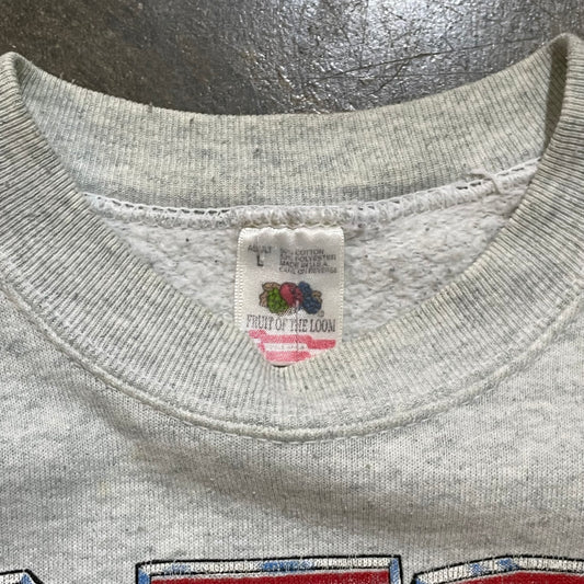 AFC Champs Steelers Super Bowl XXX Charicature Crew