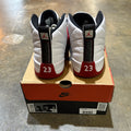Jordan 12 Cherry 2023