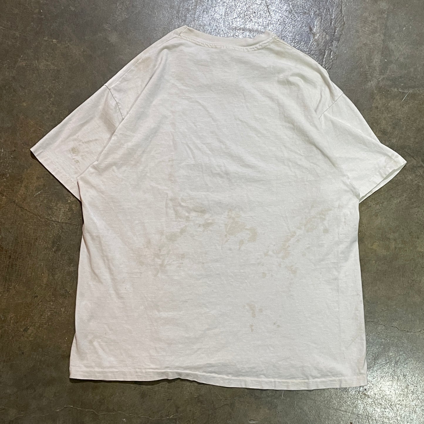 Vintage Ducks Graphic Tee