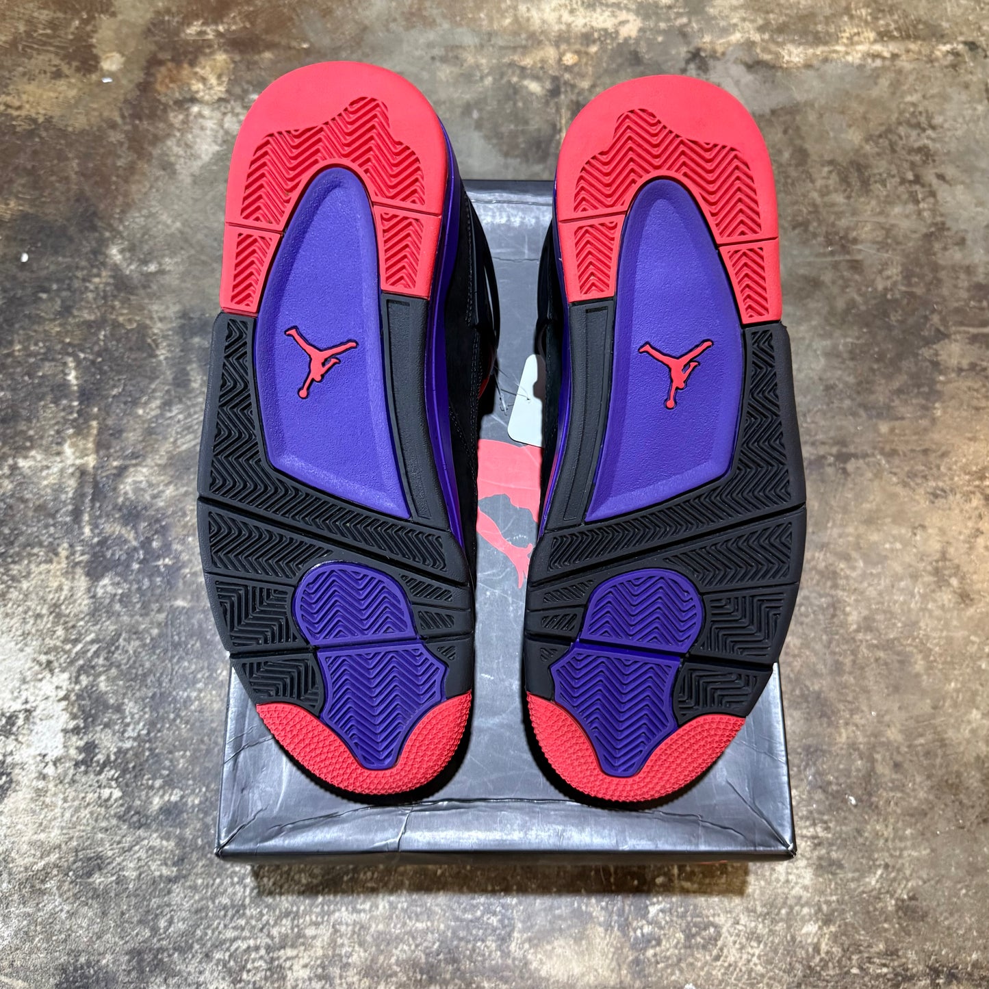 Jordan 4 Raptor