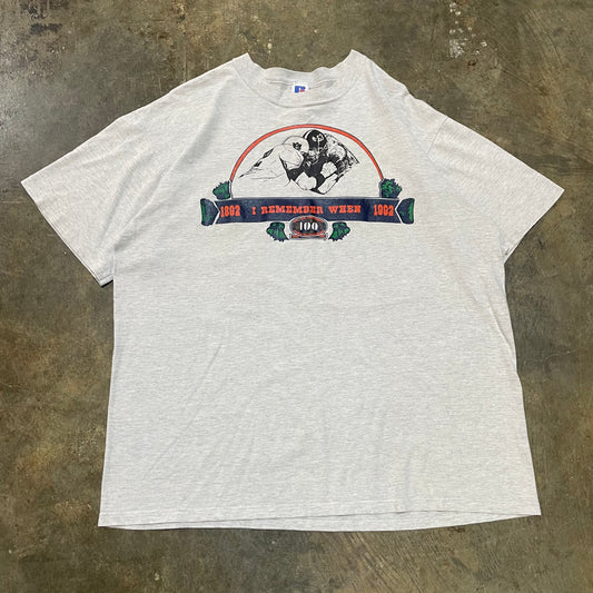 Grey Auburn "I remember when" Tee