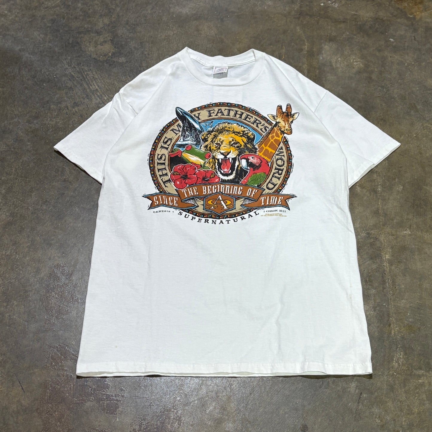 Nature Jesus tee This is my fathers world