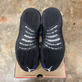 Jordan 12 Dark Concord