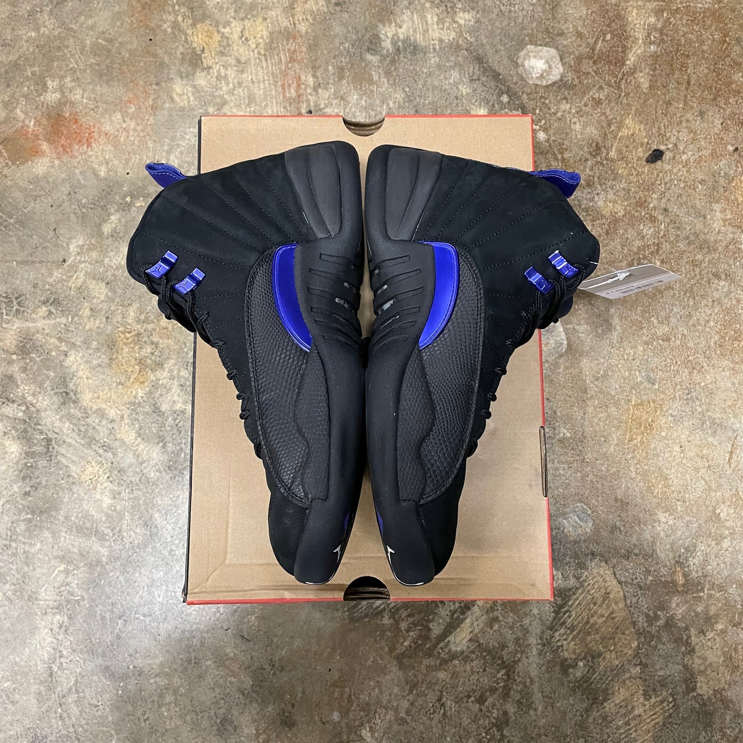 Jordan 12 Dark Concord