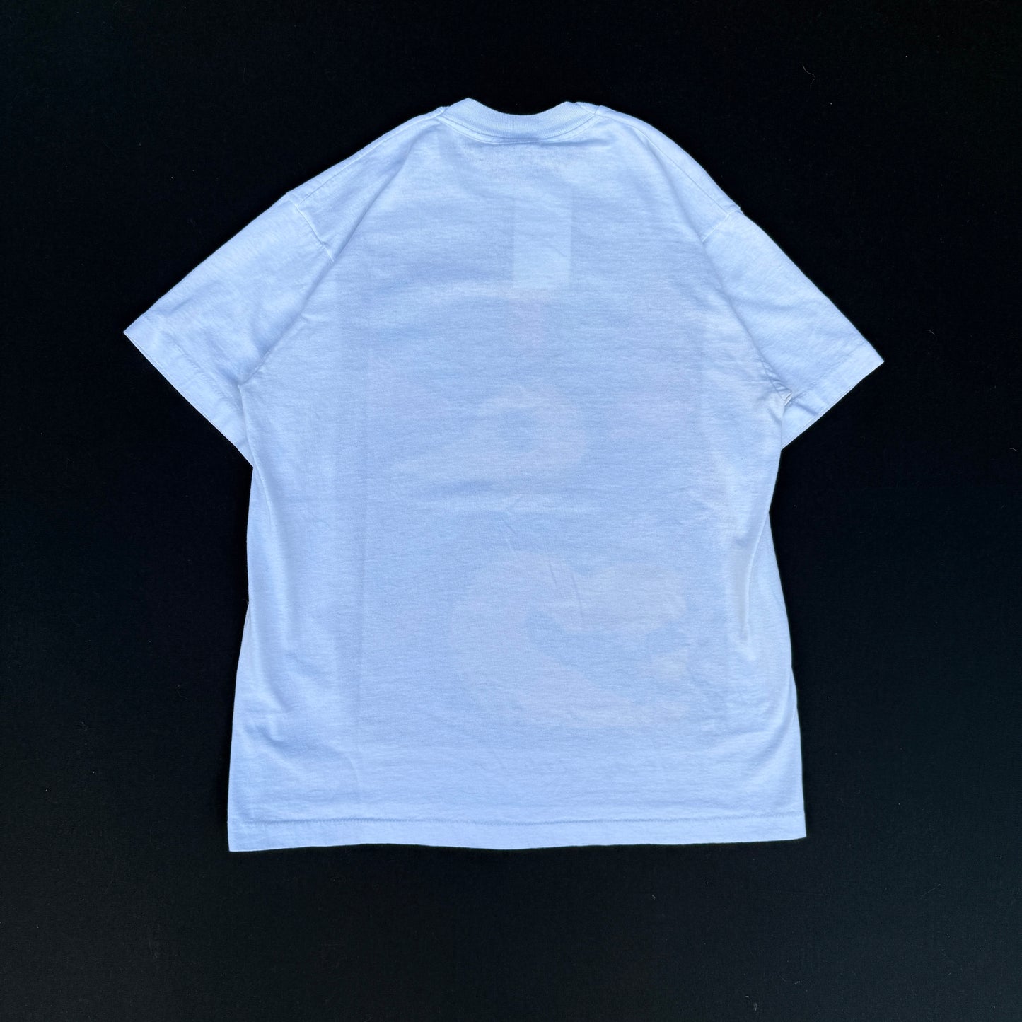 1990s Peabody Ltd Memphis Duck Graphic Tee (L)