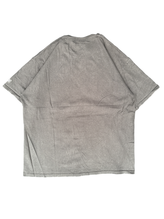 Chicago Bears Puma NFL Graphic Tee (L)