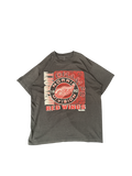 1992 Detroit Red Wings Norris Division Champs Graphic Tee (M)