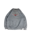Harley-Davidson Pueblo Colorado Graphic Sweatshirt (M)