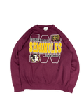 1990s Florida State Seminoles FSU Graphic Sweatshirt (L)