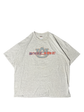 Auburn Tigers Football Graphic Tee (2XL)