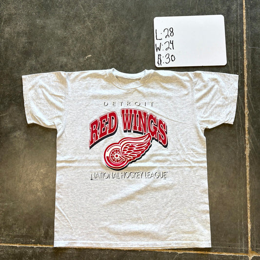 Detroit Red Wings NHL Graphic T-Shirt (XL)