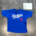Los Angeles Dodgers Stadium Gear Graphic T-Shirt (XL)