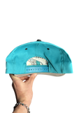 1990s Florida Marlins Teal Snapback Hat (One Size)