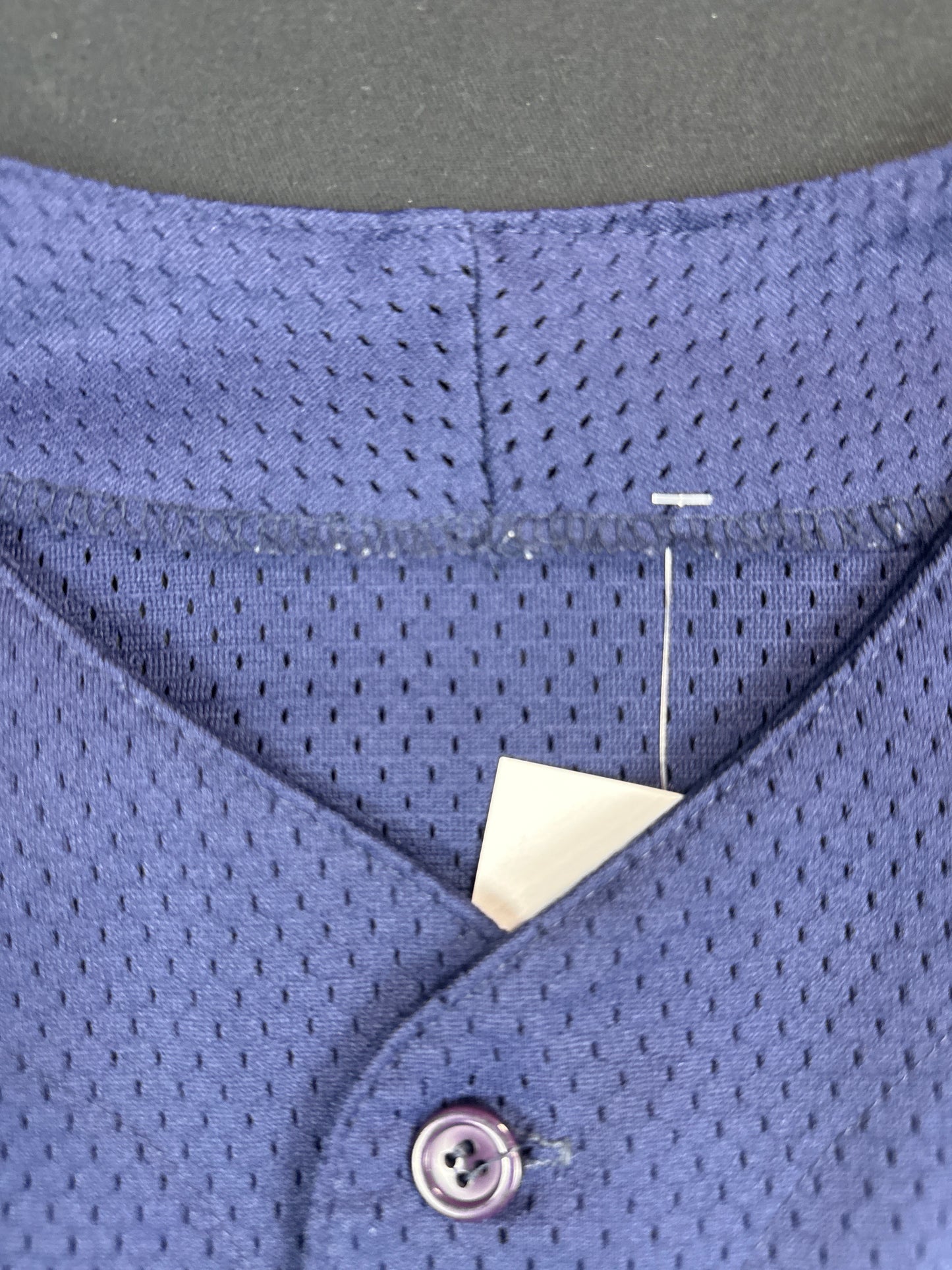 New York Yankees Mesh Baseball Jersey (L)