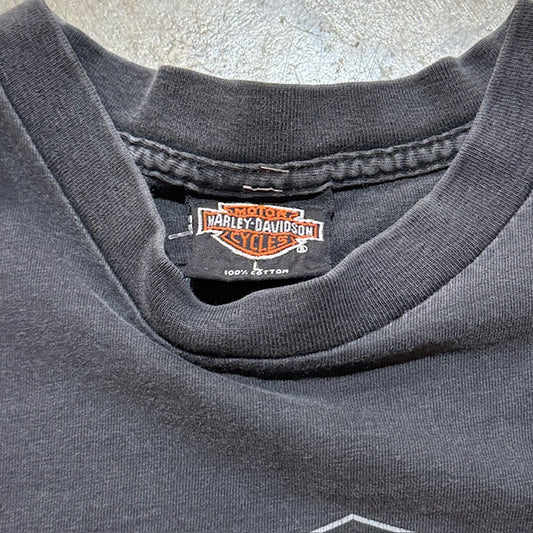 Harley Davidson Homewood tee