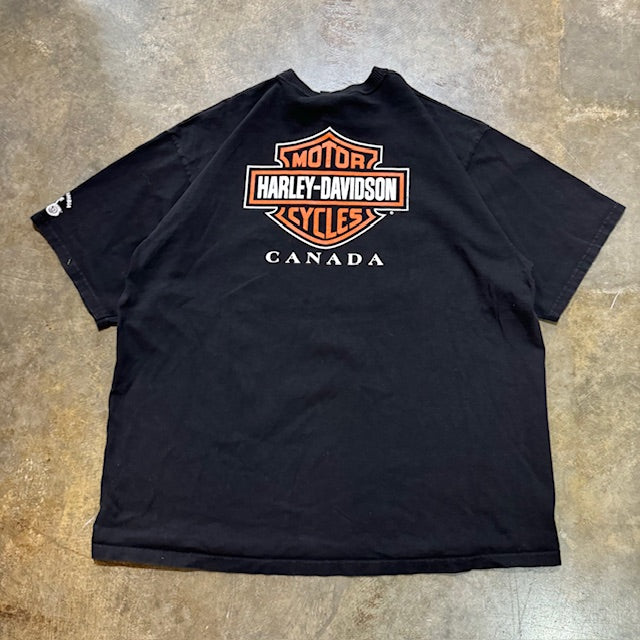 Harley Davidson Lightning Wings tee