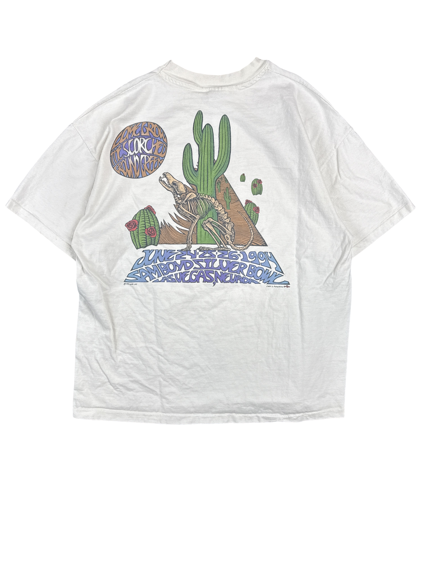 1990s Grateful Dead Vegas Desert Skull Graphic Tee (XL)