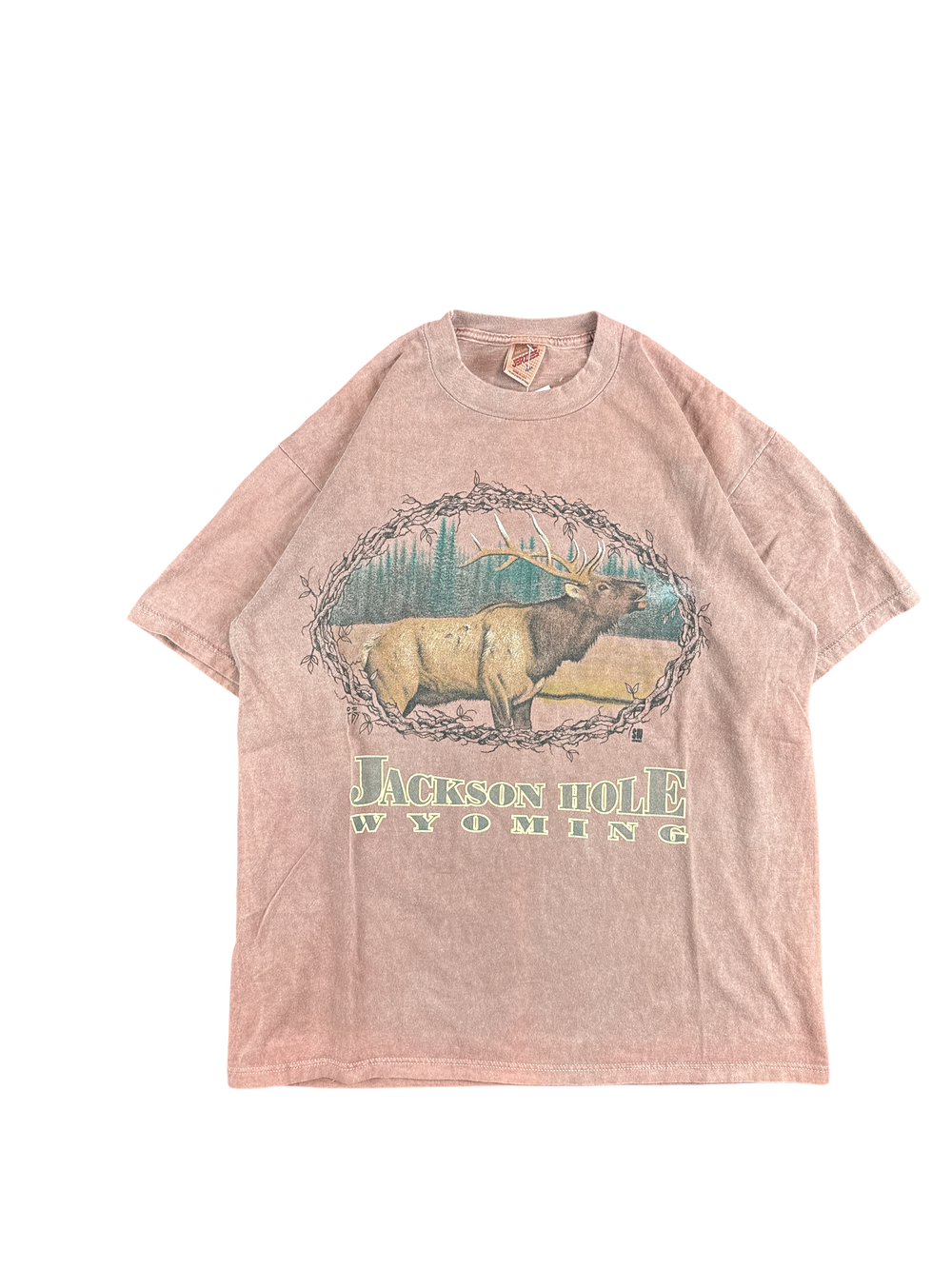 1990s Jerzees Jackson Hole Wyoming Elk Graphic Tee (M)