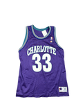 1990s Champion Charlotte 33 Basketball Jersey (XL)