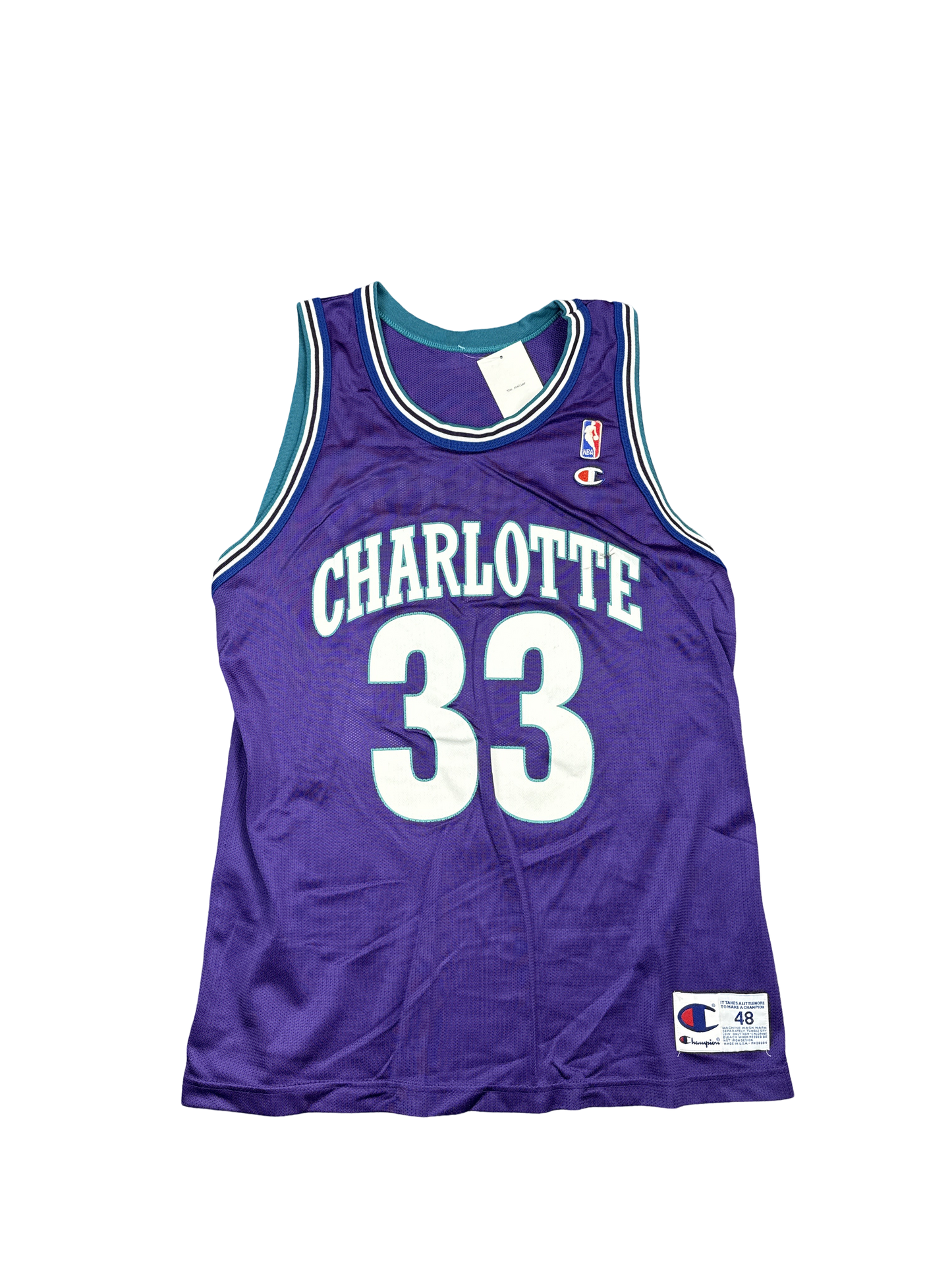1990s Champion Charlotte 33 Basketball Jersey (XL)