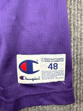 1990s Champion Charlotte 33 Basketball Jersey (XL)