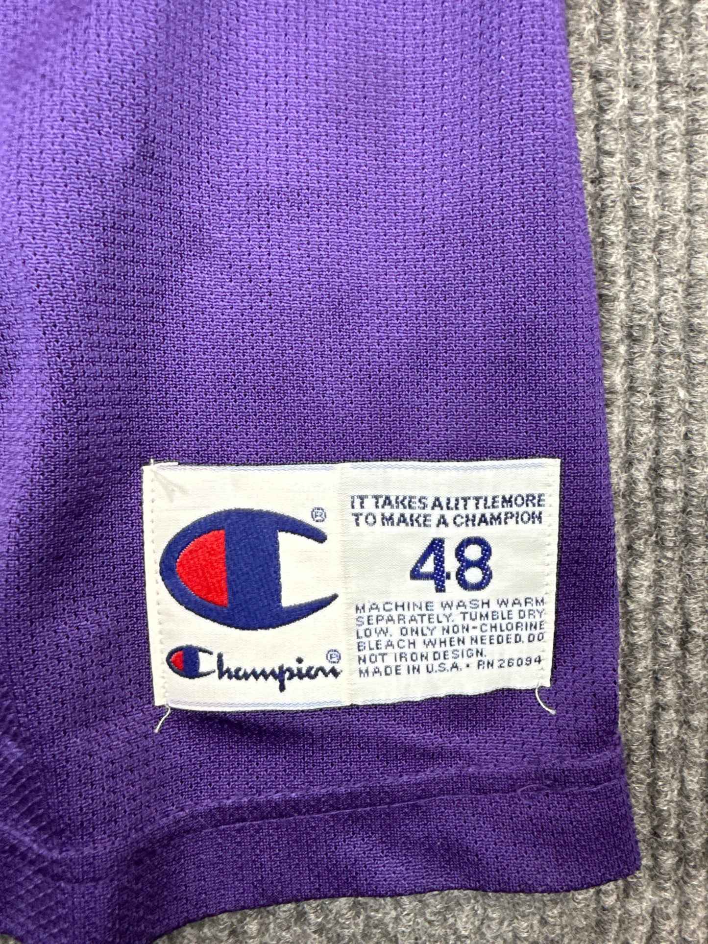 1990s Champion Charlotte 33 Basketball Jersey (XL)